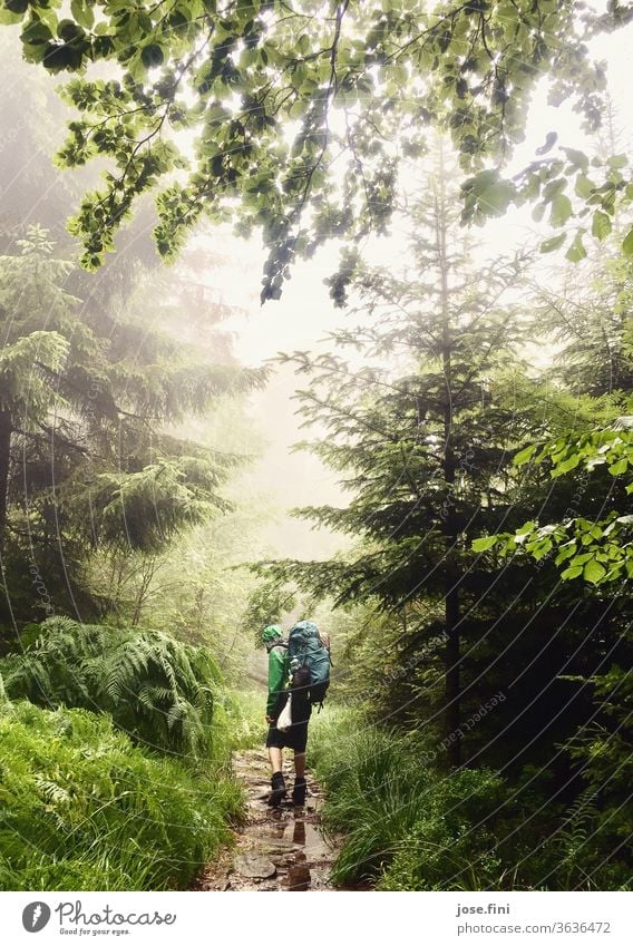 Mann mit Rucksack läuft im Wald durch Regen. Wanderer Outdoor trekking wandern Junger Mann Pfütze Baum Baumkrone Regenjacke nass Ferien & Urlaub & Reisen