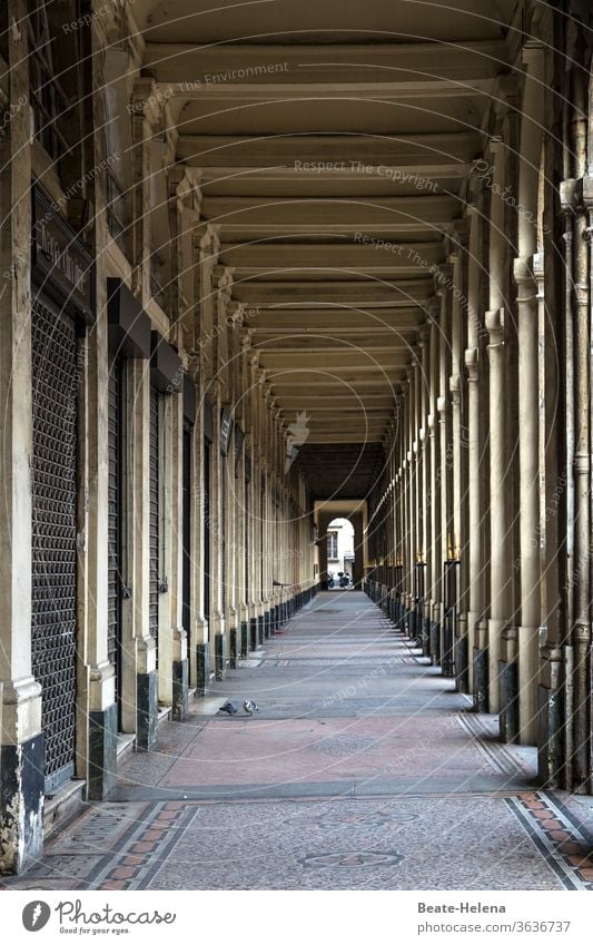 Zentralperspektive 3 Säulengang Architektur historisch Bauwerk Sehenswürdigkeit Fußboden alt Gebäude Wahrzeichen Menschenleer Denkmal Ferien & Urlaub & Reisen