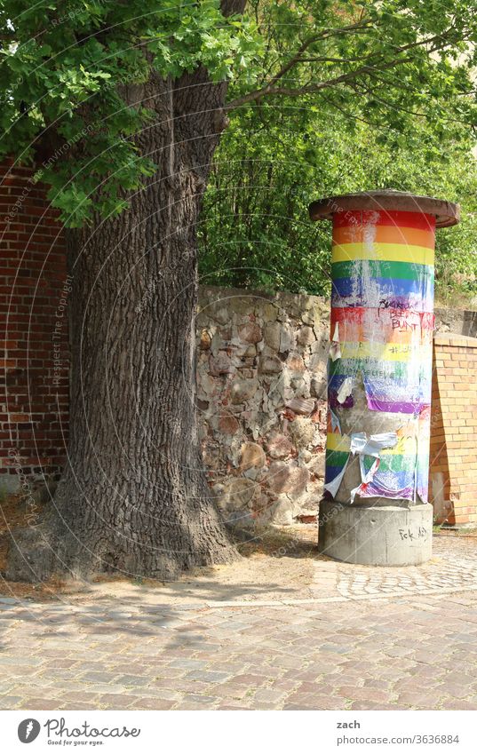 7 Tage durch Brandenburg - Neuigkeiten in Farbe Haus alt kaputt Verfall Ruine Gebäude Zerstörung Mauer Fassade Vergangenheit Vergänglichkeit Wand Fenster