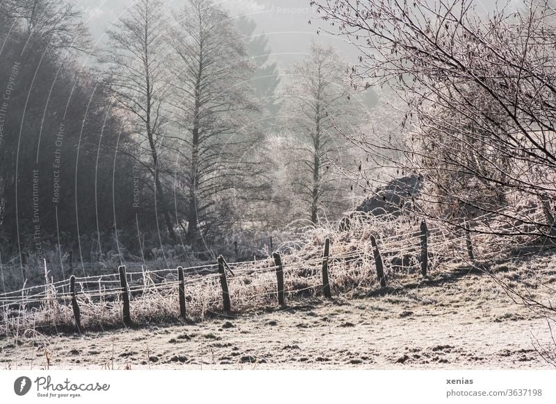 Winter is coming / Im Winterwunderland steht ein Zaun mit Schnee und Frost vor winterlichen Bäumen Natur Landschaft Wald frieren kalt Eis Gedeckte Farben