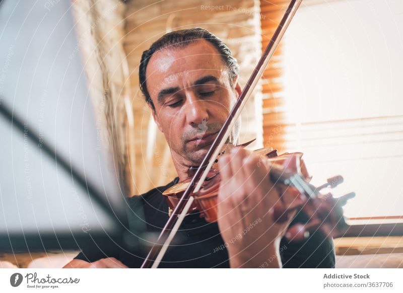 Ethnischer männlicher Musiker, der Geige spielt spielen Instrument Mann Talent Schot Geiger Melodie ethnisch hispanisch ausführen Probe Klang unterhalten Hobby