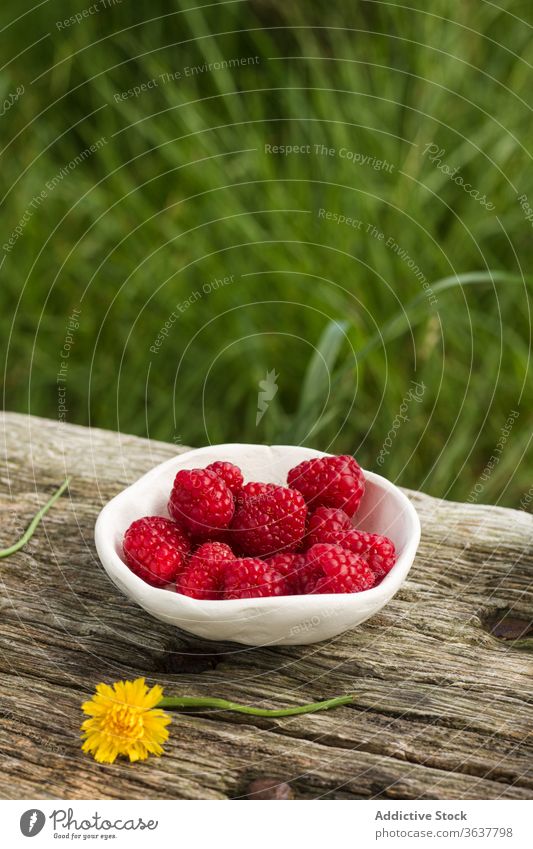 Schale mit frischen Früchten auf dem Land Frucht reif Himbeeren rustikal Landschaft Beeren Schalen & Schüsseln lecker natürlich geschmackvoll Keramik hölzern