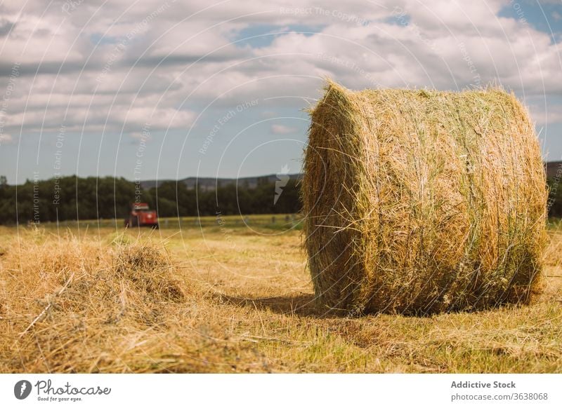 Heurolle auf trockenem Gras im Feld rollen Heugarben Ernte Ackerbau trocknen sonnig getrocknet Natur ländlich Sonne Sommer idyllisch Landschaft Harmonie Cloud