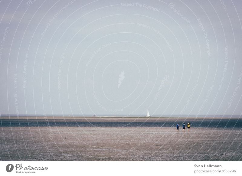 drei Personen und ein Boot Meer Natur Strand Küste Landschaft Blaues Meer Sand MEER Seeküste Sonnenlicht Tourismus reisen wüst endlos Meeresleben Einsamkeit