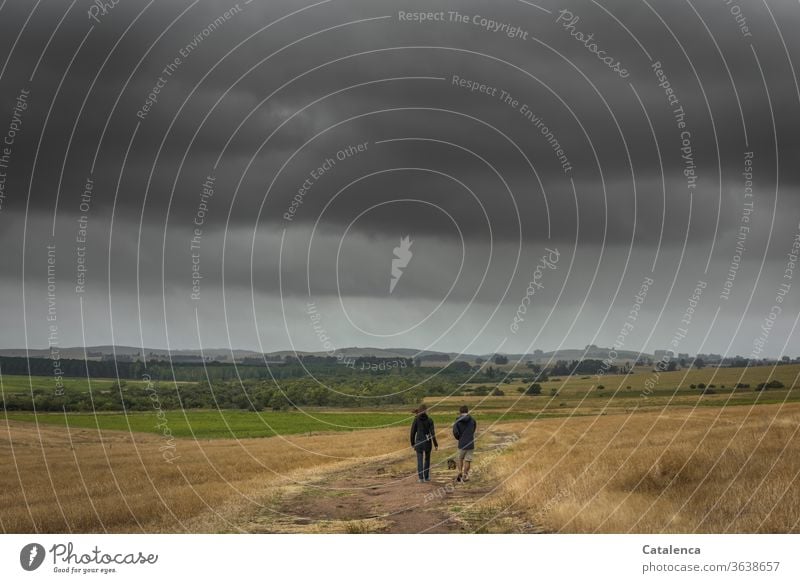 Spaziergang im Regenwetter junges Paar Zusammensein schlechtes Wetter spazieren Erdweg Felder Wolken Felder natur Gras Weide Pflanze Horizont Bäume Hügel Weg