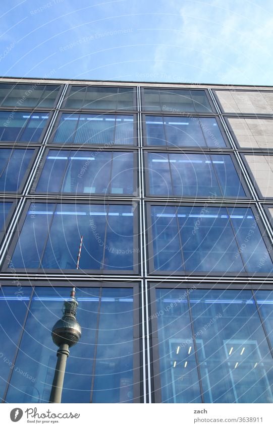 Hinter den Fenstern Berlin Berliner Fernsehturm Berlin-Mitte Alexanderplatz Turm Wahrzeichen Hauptstadt Sehenswürdigkeit Stadt Tourismus hoch Himmel Gebäude