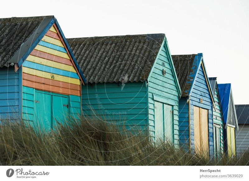 Bunte Strandhäuser aus Holz Strandhaus Ferien & Urlaub & Reisen Sommerurlaub Menschenleer Tourismus Hütte Außenaufnahme Ferne Meer blau Küste Strandhafer