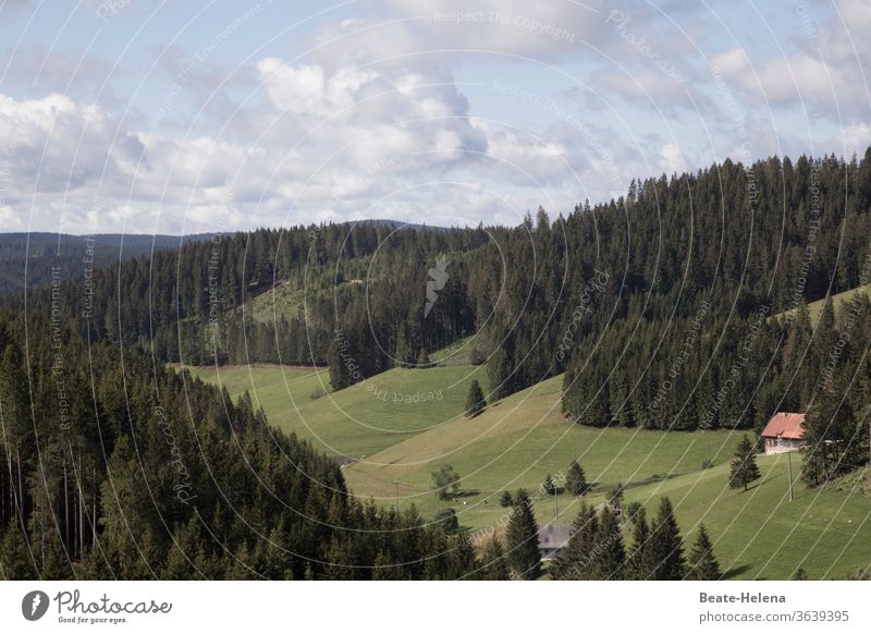 Garant für kühles Lüftchen: der Hochschwarzwald Abkühlung Frische Außenaufnahme Erfrischung Sommer berg und tal Wald Tannenwald Haus Schwarzwaldhaus Wolken