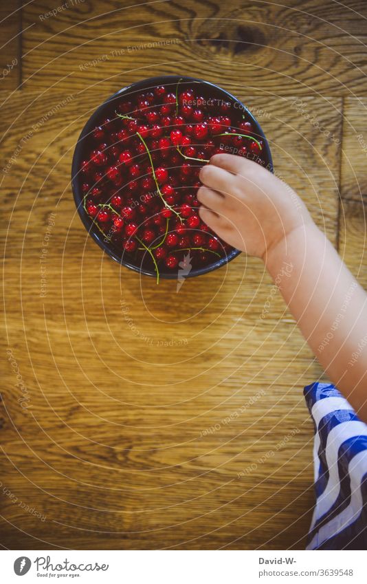 Kind greift mit der Hand nach Frischen Beeren Hände Finger Kleinkind Gesunde Ernährung Vitamine Bioprodukte Essen lecker vitaminreich Joahannesbeeren greifen