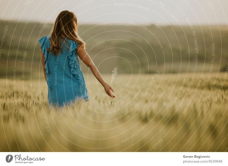 Junge schwangere Frau auf dem Feld Unterleib Erwachsener schön Schönheit Bauch blau brünett Kaukasier Tag Kleid erwartend Weiblichkeit Fruchtbarkeit Gras grün