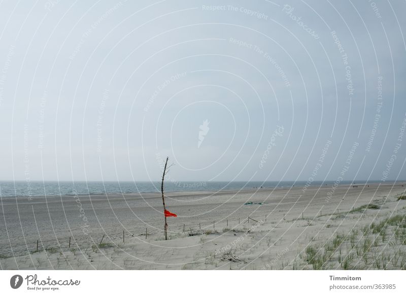 Rot im Wind. Ferien & Urlaub & Reisen Umwelt Natur Sand Wasser Himmel Strand Nordsee Dänemark Fahne blau grün rot flattern Stock Trauerbeflaggung Farbfoto