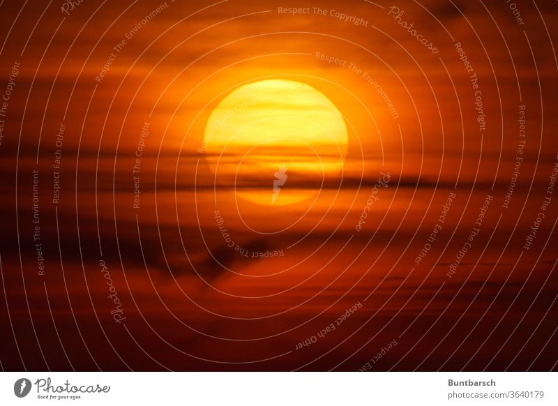 Große Sonne hinter Wolkenschleiern im Abendrot Sonnenuntergang Himmel Abenddämmerung Natur gelb orange Sonnenlicht Außenaufnahme schön Sommer Licht Dämmerung