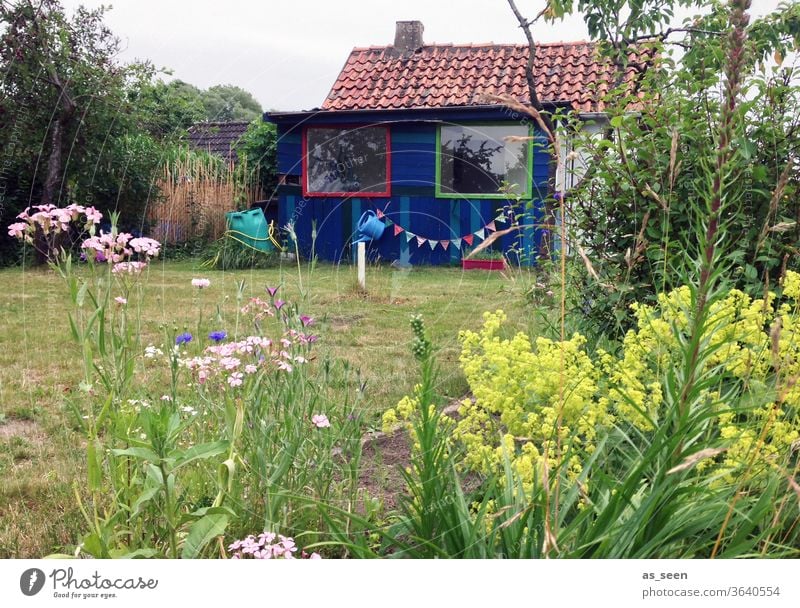 Gartenhaus im Sommer Gartenarbeit Girlande Blumen Wiese Schrebergarten Pflanzen Gießkanne Fenster Gartenlaube Natur Außenaufnahme Farbfoto Freizeit & Hobby