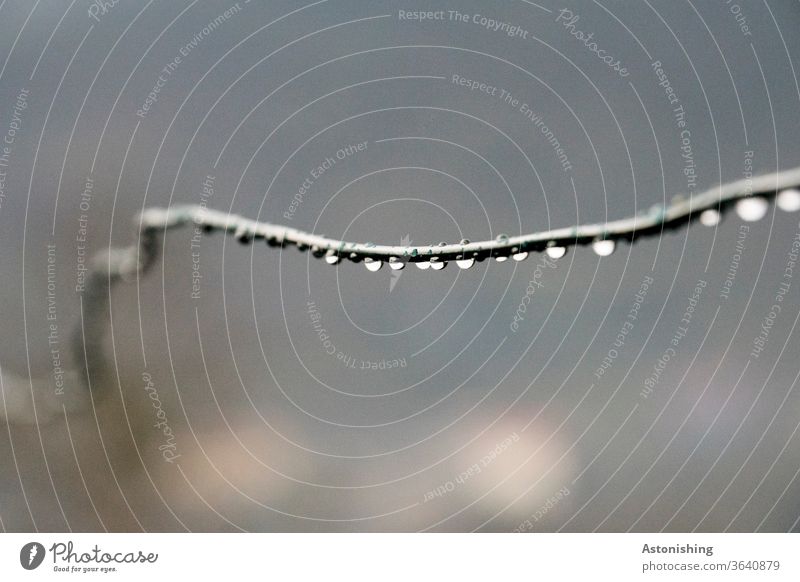 Draht mit Regentropfen nass Tropfen gebogen Linie Wasser Wassertropfen Natur Nahaufnahme Makroaufnahme Detailaufnahme Menschenleer frisch Tau Farbfoto feucht