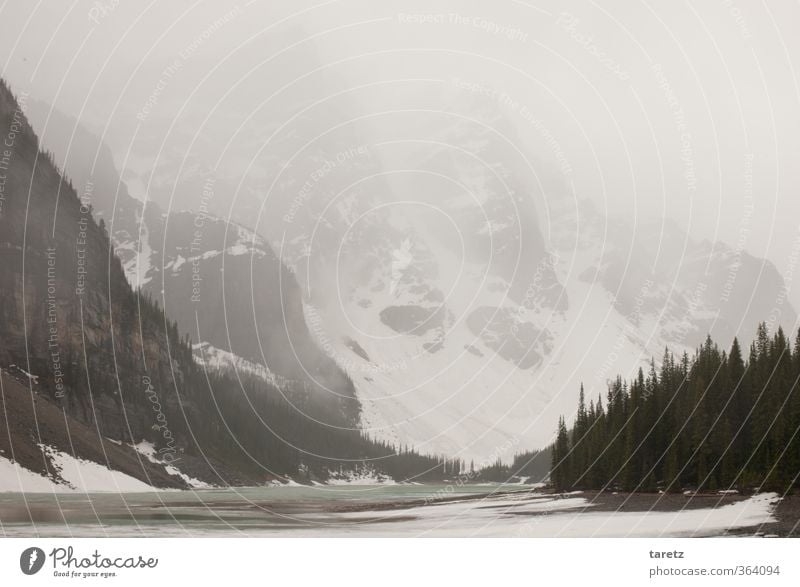 Grauer Sommertag Landschaft Berge u. Gebirge Rocky Mountains See Moraine Lake außergewöhnlich Ferne kalt grau Dunst Gletscher Nebel Natur Gebirgssee entdecken