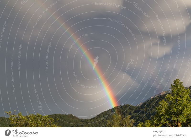 Regenbogen am dunklen Himmel Bunt schlechtes Wetter Regenwetter Farbe Klima Wolken Gewitterwolken Natur Umwelt Sturm Klimawandel Urelemente Unwetter