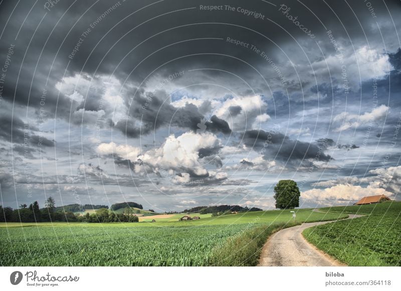 Dieser Weg... Natur Landschaft Pflanze Himmel Gewitterwolken Feld Wege & Pfade Straße grün schwarz Stimmung bedrohlich Sommer Schwarzenburg Wahlern Schweiz