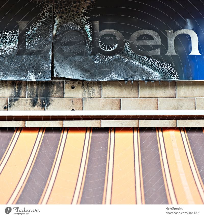 Leben, abgebrannt Berlin Stadt Fußgängerzone Gebäude Mauer Wand Fassade Schriftzeichen Schilder & Markierungen kaputt trashig trist mehrfarbig Endzeitstimmung