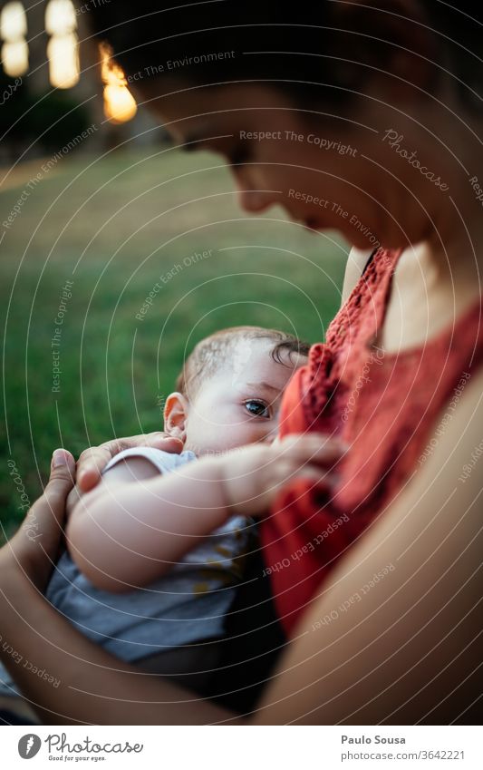 Mutter im Freien stillen Mutterschaft Baby Krankenpflege Zusammensein Zusammengehörigkeitsgefühl Eltern Kaukasier Kindheit Glück Halt Familie & Verwandtschaft