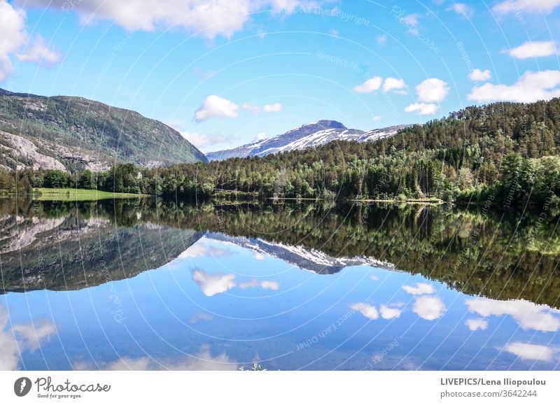 Spiegelung einer Hügellandschaft und blauer Himmel Wolken Textfreiraum Tag Tageslicht Wald See Landschaft Freizeit Berge u. Gebirge Natur Betrachtungen reisen