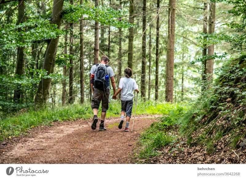 konform | im gleichschritt Hand in Hand Wald Ferien & Urlaub & Reisen Liebe Familie & Verwandtschaft Eltern Kind Mann Junge wandern Vater Sohn Sommer Natur