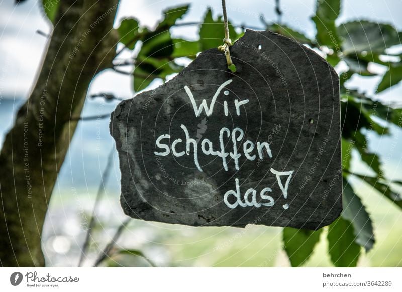 durchhalten | corona thoughts Moselsteig Hunsrück Moseltal Rheinland-Pfalz Mosel (Weinbaugebiet) Weinstock Berge u. Gebirge Umwelt Außenaufnahme Menschenleer