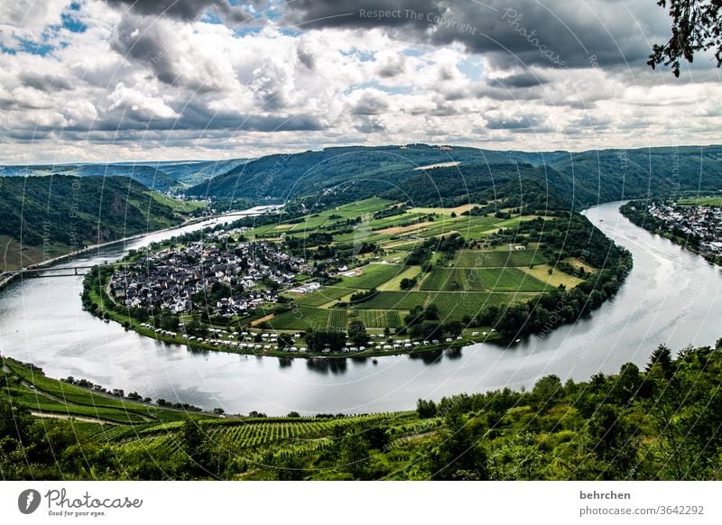 schleifchen Wald Ferien & Urlaub & Reisen wandern Natur Landschaft Himmel Wolken Sommer Umwelt Außenaufnahme Menschenleer Farbfoto Berge u. Gebirge Tourismus