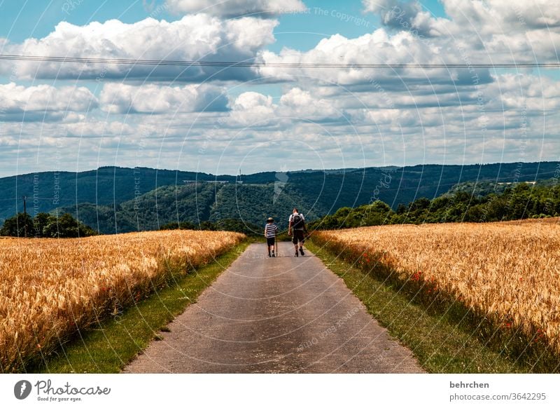 das wandern ist des müllers lust Landschaft Landwirtschaft Korn Getreide Weizen Gerste Roggen Vater Sohn Himmel Wolken Sommer Feld Natur Kornfeld Ähren Ackerbau