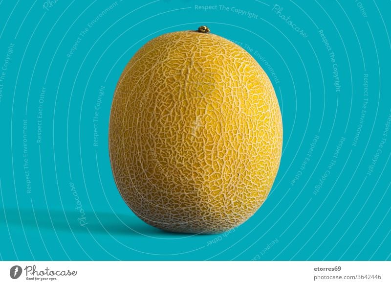 Cantaloupe gelbe Melonenfrucht auf blauem Hintergrund Kantalupe Nahaufnahme lecker Diät frisch Frucht saftig Ernährung organisch roh Sommer süß Textur tropisch