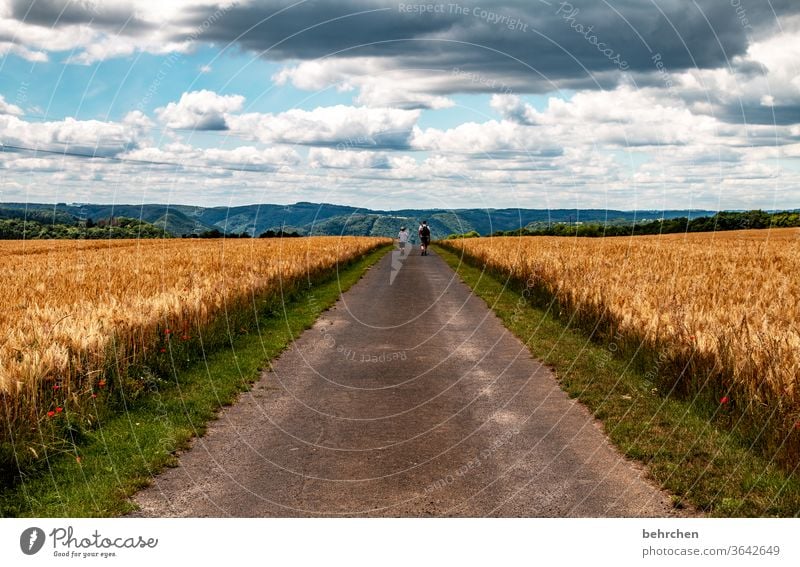 HAPPY BIRTHDAY PHOTOCASE | es war manchmal ein langer weg! Getreidefeld Wanderer Straße Wege & Pfade Zusammensein gemeinsam Berge u. Gebirge Umwelt