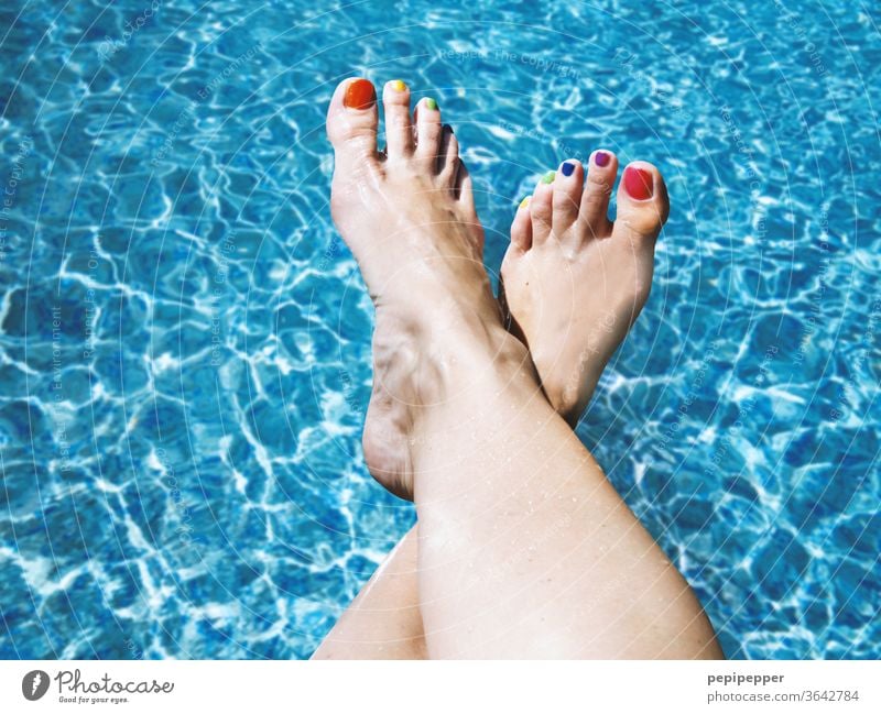 Frau am Pool mit bunten Fußnägeln Schwimmbad Freibad Wasser Schwimmen & Baden blau Sommer Bunte Fußnägel füße Sport Farbe Beine Urlaub Ferien & Urlaub & Reisen