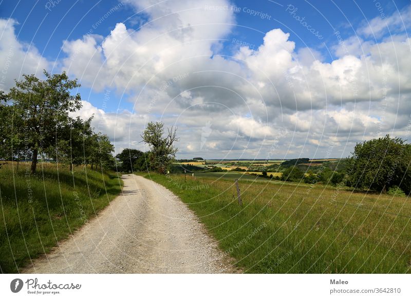 Sommerlandschaft mit Feldern, Wiesen und Feldweg Landschaft Natur Gras ländlich Himmel grün Sonne Baum Straße Schmutz Horizont Wetter Frühling blau Cloud