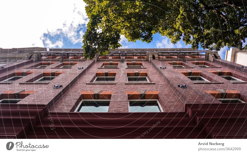 Aufblick auf ein Backsteingebäude mit einem Baum im Vordergrund und dem blauen Himmel im Hintergrund Winkel Architektur Gebäude Business Großstadt Stadtbild