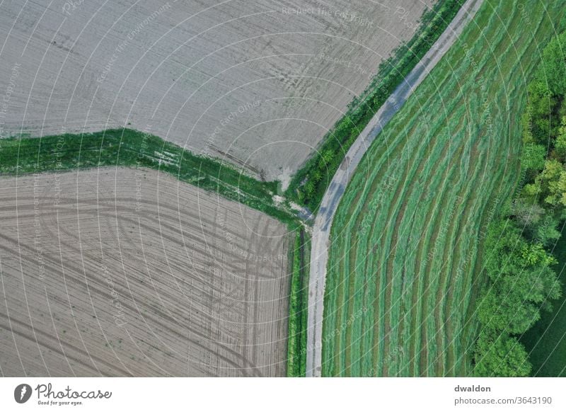 Landwirtschaft von oben Dröhnen Ackerbau Feld Bauernhof grün braun Natur ländlich landwirtschaftlich Landschaft Pflanze Sommer Ernte natürlich Wiese Gras