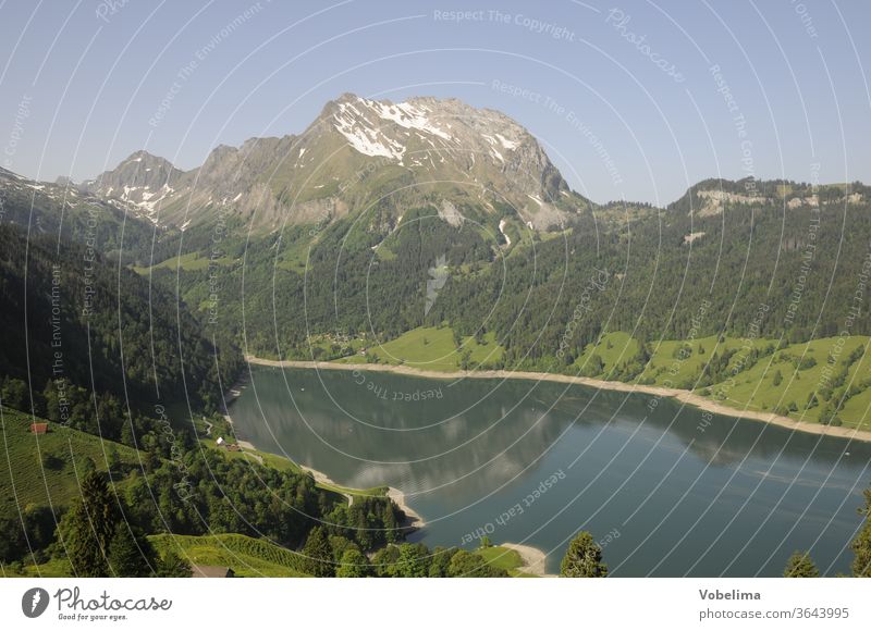 Wägitaler See und Fluebrig fluebrig baum ahorn bäume hohfläschen wägitaler see schwyz schweiz voralpen schwyzer voralpen schwyzer alpen berg berge gipfel