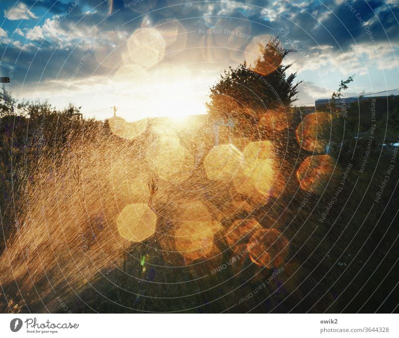 Waschtag Wassertropfen geheimnisvoll Sonne Sonnenlicht leuchtend strahlend Gegenlicht Lichterscheinung Wolken Himmel Bäume Ausblick nass Regen Schatten Natur