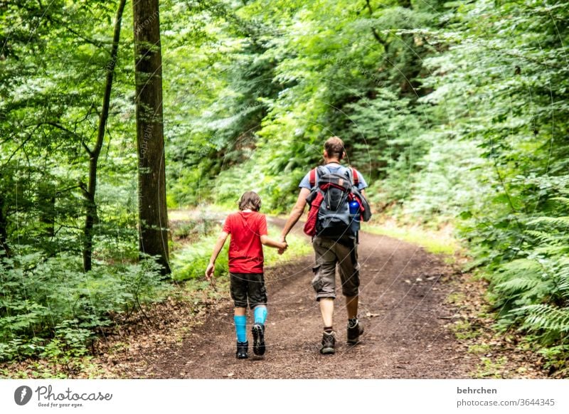 gemeinsam sein Wanderer Wege & Pfade Zusammensein Umwelt Außenaufnahme Natur Sommer Sohn Vater wandern Mann Kind Junge Eltern Familie & Verwandtschaft Liebe