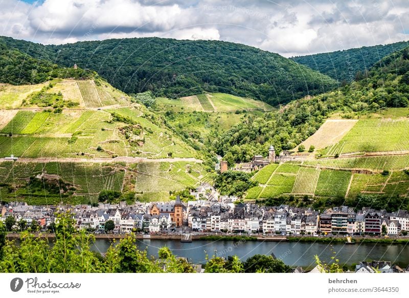 stadt land fluss Hunsrück Moseltal Sonnenlicht Mosel (Weinbaugebiet) Flussufer Rheinland-Pfalz Ruhe Idylle Weinstock Weinrebe Weintrauben Weinberg Abenteuer