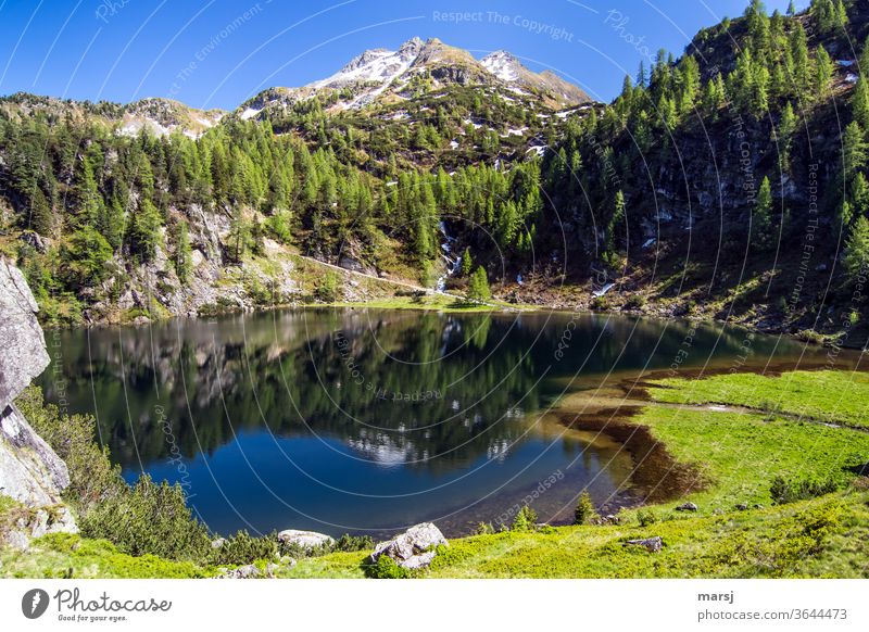 Landauersee vor den Murspitzen Gebirgssee Weitwinkel Hoffnung Mut Kraft einfach außergewöhnlich leuchten See Seeufer Frühling wandern Berge u. Gebirge Freiheit