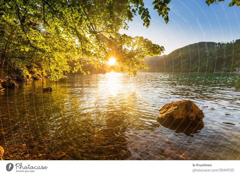 Abendstimmung am See, Wolfgangsee, Salzkammergut, Österreich Sonnenuntergang Himmel Baum Abenddämmerung Natur Sonnenlicht Stein Gebirgssee Wasser Seeufer Ufer