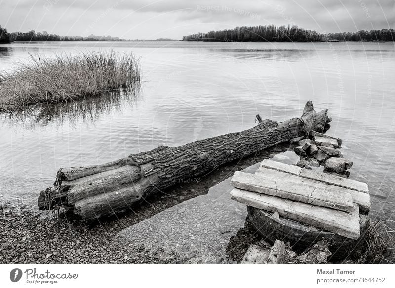 Baumstamm im Fluss Dnjepr Kiew Ukraine SCHWARZ-WEIß s/w Strand schwarz auf weiß bulrush Windstille Cloud dunkel Entsättigt Abenddämmerung fallen fliegend