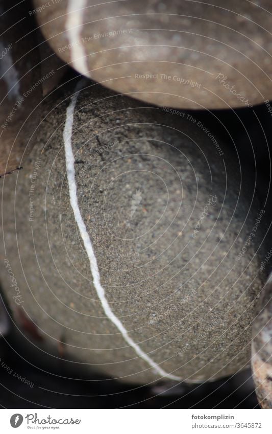 grauer runder Kieselstein mit weißer Linie Stein Steine Kieselsteine Muster Strukturen & Formen Flusstein Strand Nahaufnahme Gedeckte Farben Küste Strich