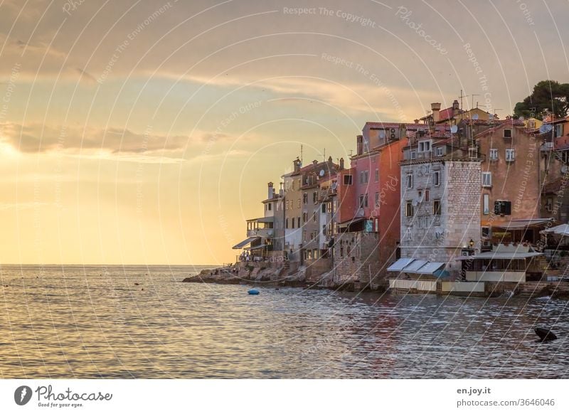 Altstadt direkt am Meer im Lichte des Sonnenuntergangs am Horizont Rovinj Kroatien Istrien Europa Sonnentuntergang Abend gelb Orange Halbinsel Felsen Küste