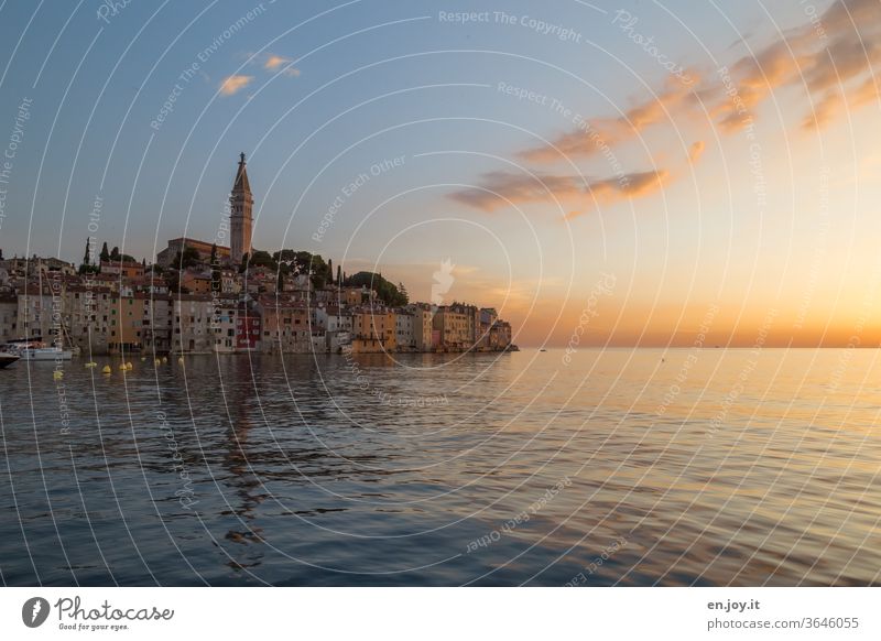 Rovinj im Lichte des Sonnenuntergangs Istrien Kroatien Europa Hafenstadt Abendstimmung Ferien & Urlaub & Reisen Horizont Kirchturm Altstadt Küste Kirche Himmel