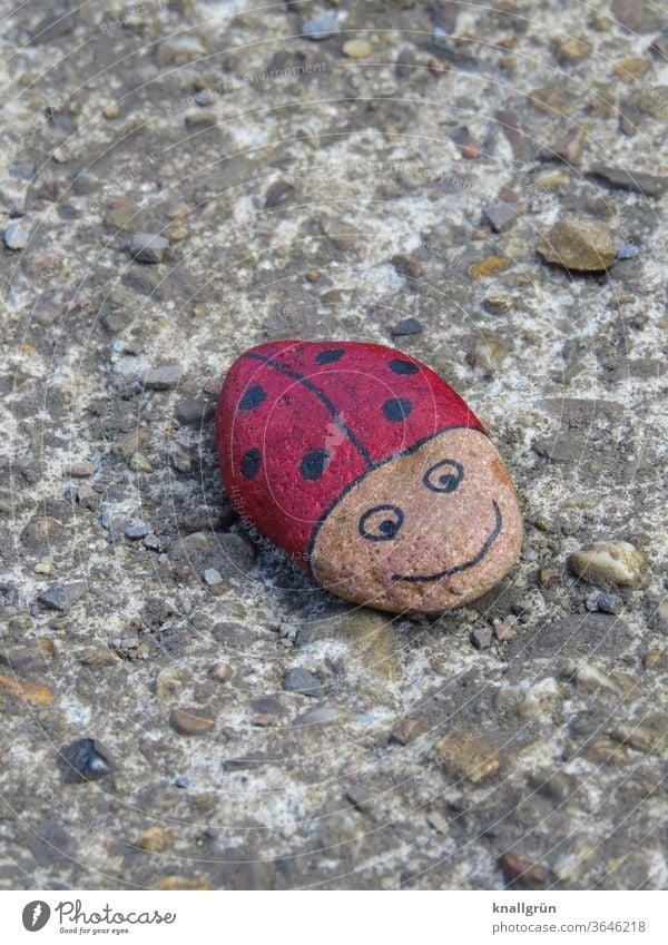 Marienkäfer Glücksstein auf einer Mauer Glückssteine Käfer DIY Tier Insekt Makroaufnahme Nahaufnahme rot Punkt Außenaufnahme Glücksbringer klein schwarz 1 Tag