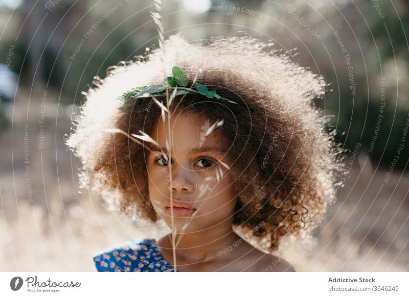 Ernstes kleines Mulattenmädchen auf verschwommenem Naturhintergrund Mädchen schwarz Kind ernst Porträt Windstille bezaubernd Sommer Stil Outfit emotionslos