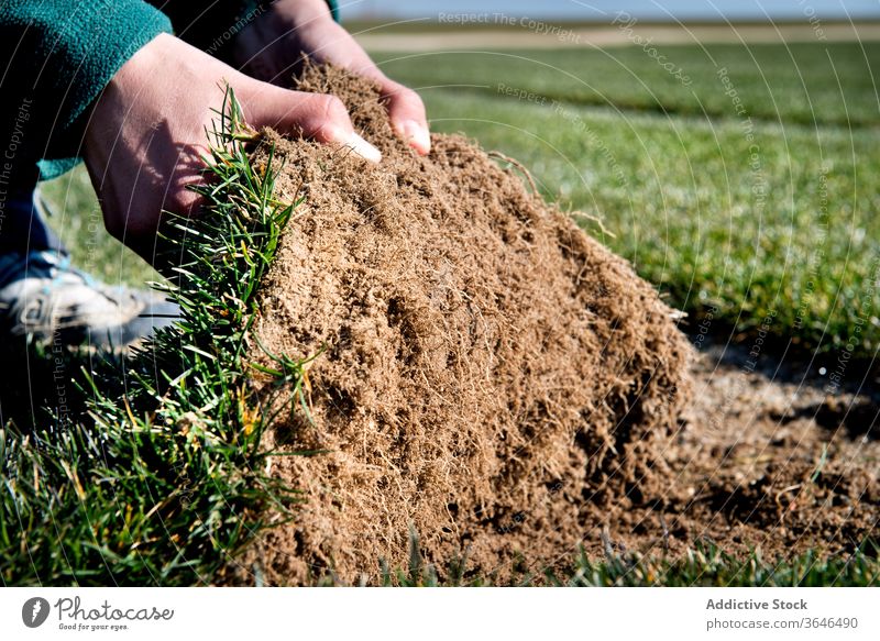 Nicht erkennbare Person, die Rasenrollen bei Tageslicht vorführt Boden Feld grün Gras Textur natürlich organisch lose Spielfigur Ökologie Sonnenlicht uneben