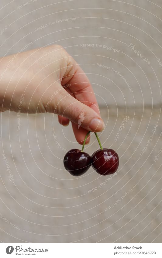 Erntehelferin mit frischer Kirsche reif Frau organisch natürlich Lebensmittelgeschäft Sommer geschmackvoll Tasche Papier Produkt roh Paket Veganer Käufer Natur