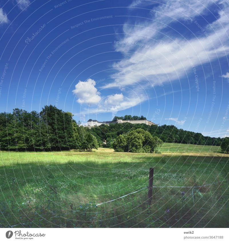 Königstein Sehenswürdigkeit historisch alt Mauer Festung Königsstein Tag Menschenleer Farbfoto Außenaufnahme Naturwunder Idylle Ferne Aussicht erhaben ruhig