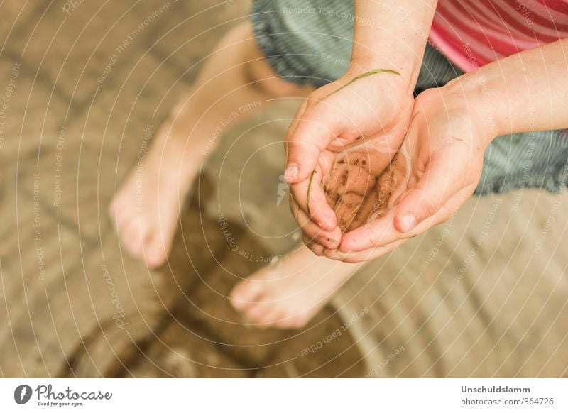 ...was vom Gewitter übrig blieb! Mensch Kindheit Leben Hand Fuß 1 Umwelt Natur Wasser Wassertropfen Sommer Regen Pfütze Schwimmen & Baden festhalten Spielen